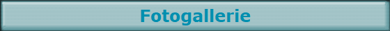 Fotogallerie