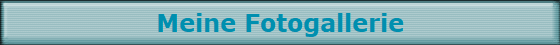 Meine Fotogallerie